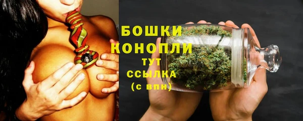 сатива Рославль