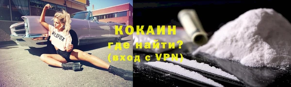 стафф Россошь