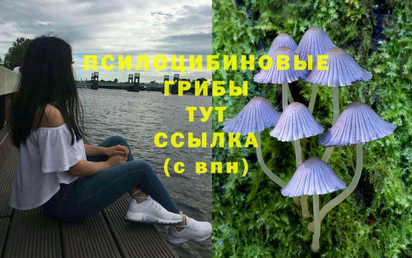 гашик Богородск