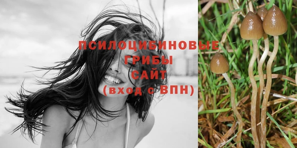 наркотики Богородицк