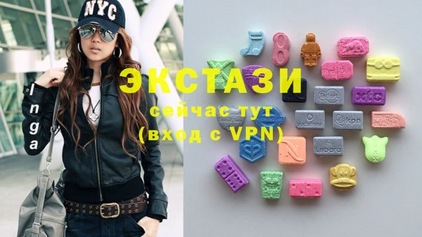 гашик Богородск