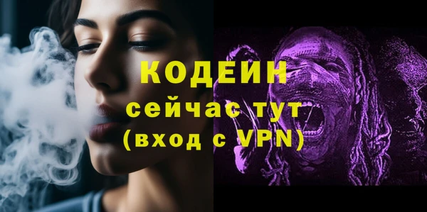 гашик Богородск