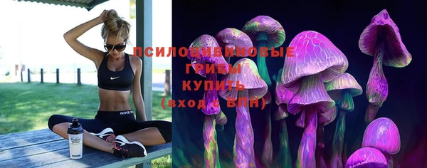 стафф Россошь